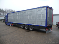 Полуприцеп для перевозки скота (скотовоз) - Изображение #2, Объявление #238811