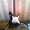 Продам Электро Гитару Ibanez GRX40JU-BKN - Изображение #1, Объявление #68483