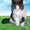 Экзотических котят редких окрасов недорого - Изображение #5, Объявление #294649