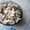Реализуем свежие стерильно вырашенные грибы - Изображение #4, Объявление #315669