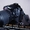 Nikon D90 body ( kit ) foto+HD-видео - Изображение #3, Объявление #359940