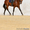 лошадь на продажу,  жеребчик МОЛИБДЕН 2009г.р. #500576