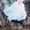Свадебный фотограф Дмитрий Симаков г. Астана - Изображение #4, Объявление #575118
