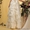 Свадебные платья tFlora   - Изображение #2, Объявление #759866