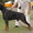 Продам щенка Добермана от ИнтерЧемпионов, РКФ - Изображение #5, Объявление #804799