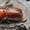 Уничтожение грызунов и насекомых в Астане - Изображение #5, Объявление #918255