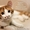 Очаровательный рыжий котик в дар #936013