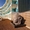 Недвижимость в Испании,Квартира на первой линии пляжа от застройщика в Хавея - Изображение #10, Объявление #964548
