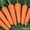 Картофель, морковь оптом - Изображение #1, Объявление #991679