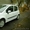 Продам Renault Modus II - 2009 г.в. - Изображение #1, Объявление #825625