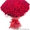 Продажа красных роз в Астане #1176088