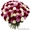 25-101 роза любых растовок #1176146