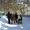 Зимние каникулы в Боровом с Discovery-Borovoe #1185316