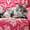 Котята мейн-кун: кошечки из питомника - Изображение #1, Объявление #1241687