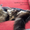 Котята мейн-кун: кошечки из питомника - Изображение #5, Объявление #1241687