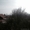 недвижимость в Болгари земельный участок в местечке Монастырский Рид Варна - Изображение #2, Объявление #1243105