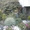 недвижимость в Болгари дом в местечке Траката в Варне - Изображение #4, Объявление #1229265