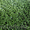 Искусственная трава в ассортименте - Изображение #3, Объявление #1251159