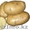 Семенной картофель из Беларуси в России #1287252