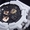 Часы Casio G-Shock – запредельные возможности в одной модели 