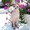 Канадский сфинкс питомник Cassiopeia - Изображение #2, Объявление #1370367