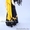 Национальные костюмы для взрослых на прокат в Астане. - Изображение #5, Объявление #1378428