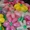 Цветы из воздушных шаров #1382610