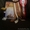 Продам Котенка Канадского сфинкса - Изображение #4, Объявление #1381481
