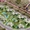 Недвижимость в Испании, Новые бунгало с видами на море от застройщика в Бенидорм - Изображение #3, Объявление #1486910