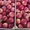 Продаю яблоки из Польши - Изображение #8, Объявление #1495282