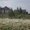 Земельные участки для строительства жилых домов в посёлке Заречном  - Изображение #3, Объявление #1511660