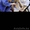 Секия дзюдо самбо таеквондо и қазақша күрес в Астане клуб единоборств Бастау - Изображение #2, Объявление #1514991
