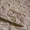 Декоративный камень для интерьера в Астане. - Изображение #3, Объявление #1541119