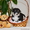 Вельш Корги Пемброк щенки питомник «Nivas Joy» в Алматы Казахстан - Изображение #6, Объявление #1578318