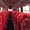 Аренда автобусов на 50 мест в Астане. - Изображение #1, Объявление #1578809