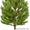 Новогодние хвойные деревья оптом - Ель, Пихта, Сосна - Изображение #1, Объявление #1594328