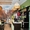 Гостиница и Кафе с постоянными арендаторами в городе-курорте Геленджик - Изображение #3, Объявление #1639194