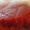 Икра красная кеты камчатская в Астане - Изображение #3, Объявление #1641206