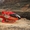 Вертолетная или самолетная экскурсия над Гранд Каньоном - Изображение #2, Объявление #1663345