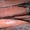 Рыбные филе судака, сазана и др. оптом бесплатная доставка по Астане - Изображение #5, Объявление #1669313