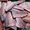 Рыбные филе судака, сазана и др. оптом бесплатная доставка по Астане - Изображение #2, Объявление #1669313