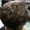 Курсы парикмахеров универсалов, мужских парикмахеров,маникюр - Изображение #2, Объявление #1673379