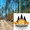 Оптовые продажи пиломатериалов Башкирского леса в г. Белорецк - Изображение #4, Объявление #1727126