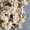 Линия гранулирования овечьей шерсти  PLSW-50/100/150 - Изображение #2, Объявление #1743258