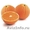 Апельсины из Испании  - Изображение #2, Объявление #163701