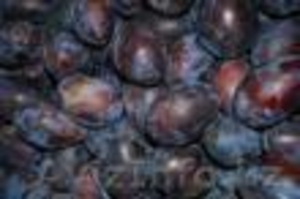 Яблоки польские по цене производителя!!! - Изображение #2, Объявление #54341