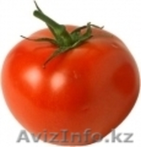 Польские помидоры и паприка крупным оптом  - Изображение #3, Объявление #54343