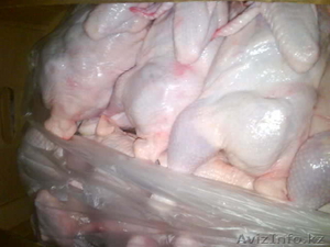 Продам цыплят, кур, разделку птицы - Изображение #3, Объявление #153030
