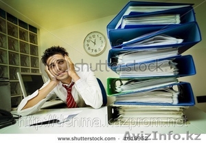 рефераты и курсовые