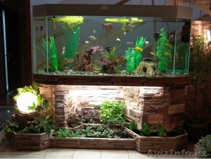 Изготовление аквариумов на заказ - Изображение #5, Объявление #338086